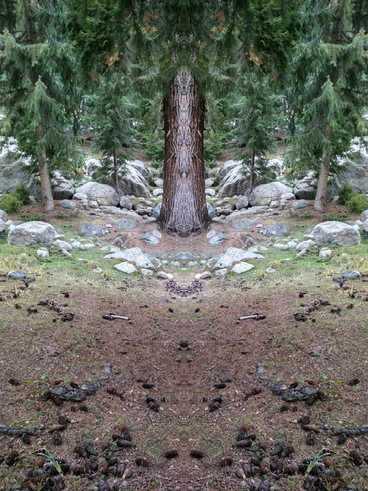 Self reflection