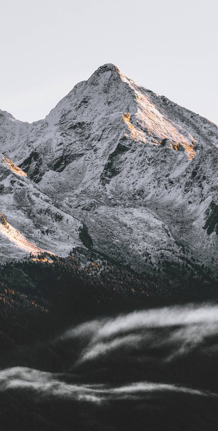 mount black