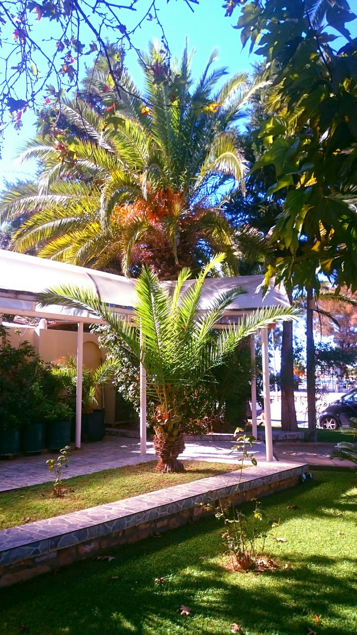 STAMATIOS