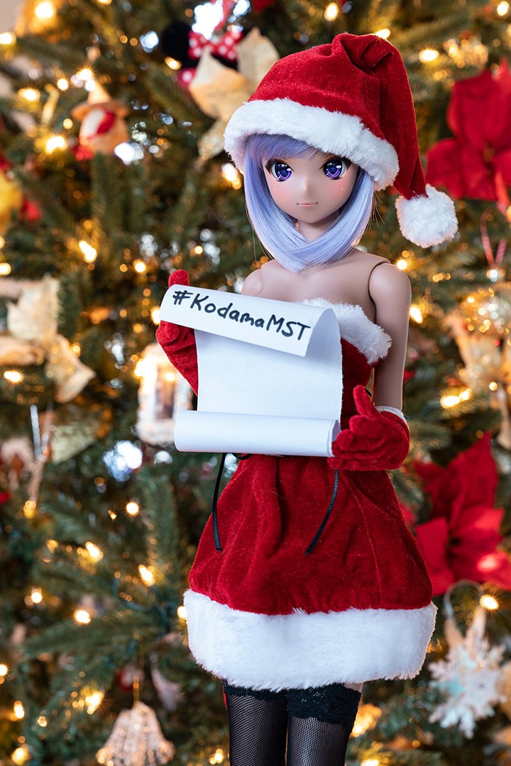 THE CHRISTMAS LIST