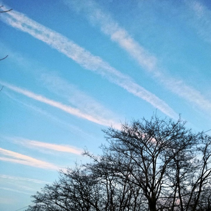 Blue-whtie-black