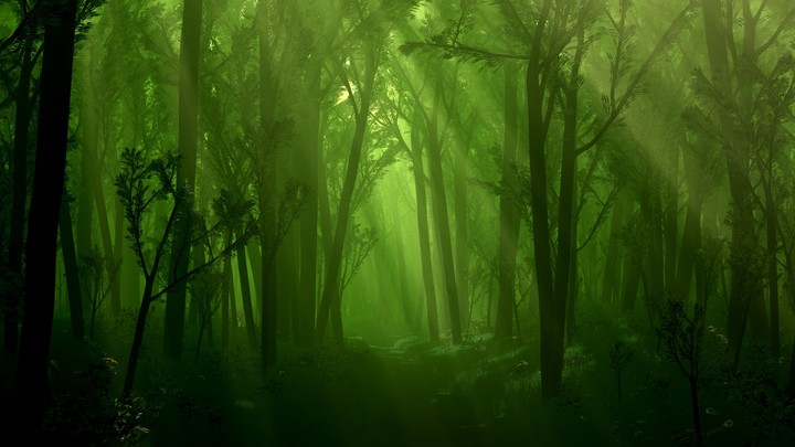 Green Forest