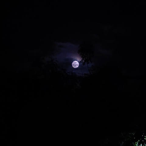 Full Moon ♥️