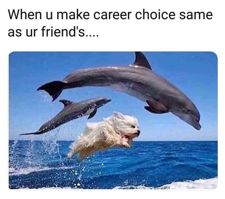 career