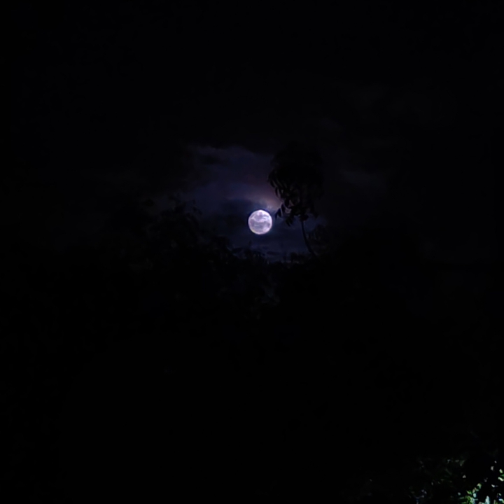 Full Moon ♥️