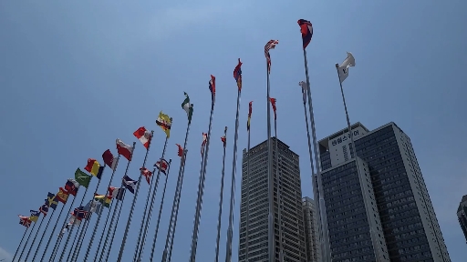 벡스코 깃발
