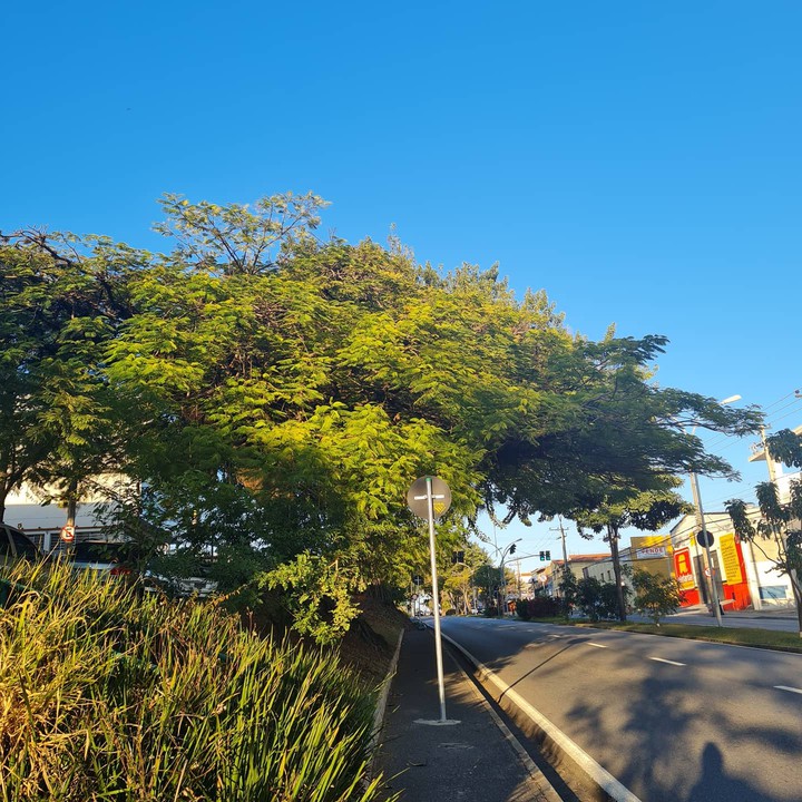 Sorocaba