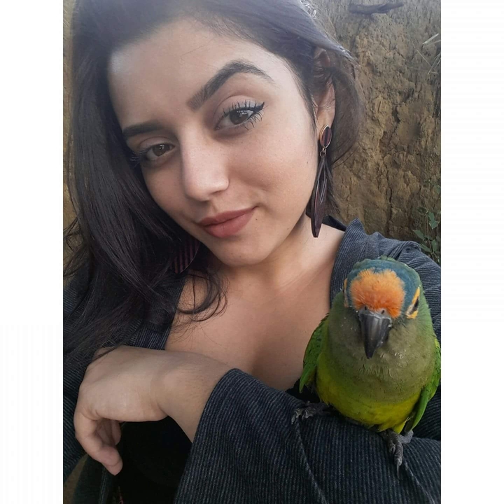 pássaros e garota