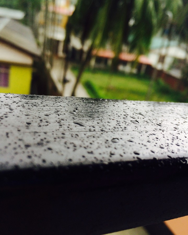 rain rain go away and cone another day