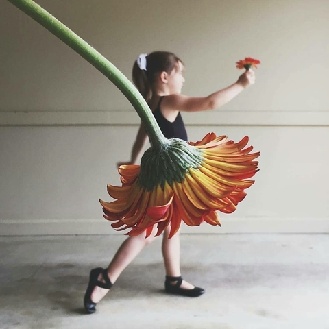 רקעים ballet, costume