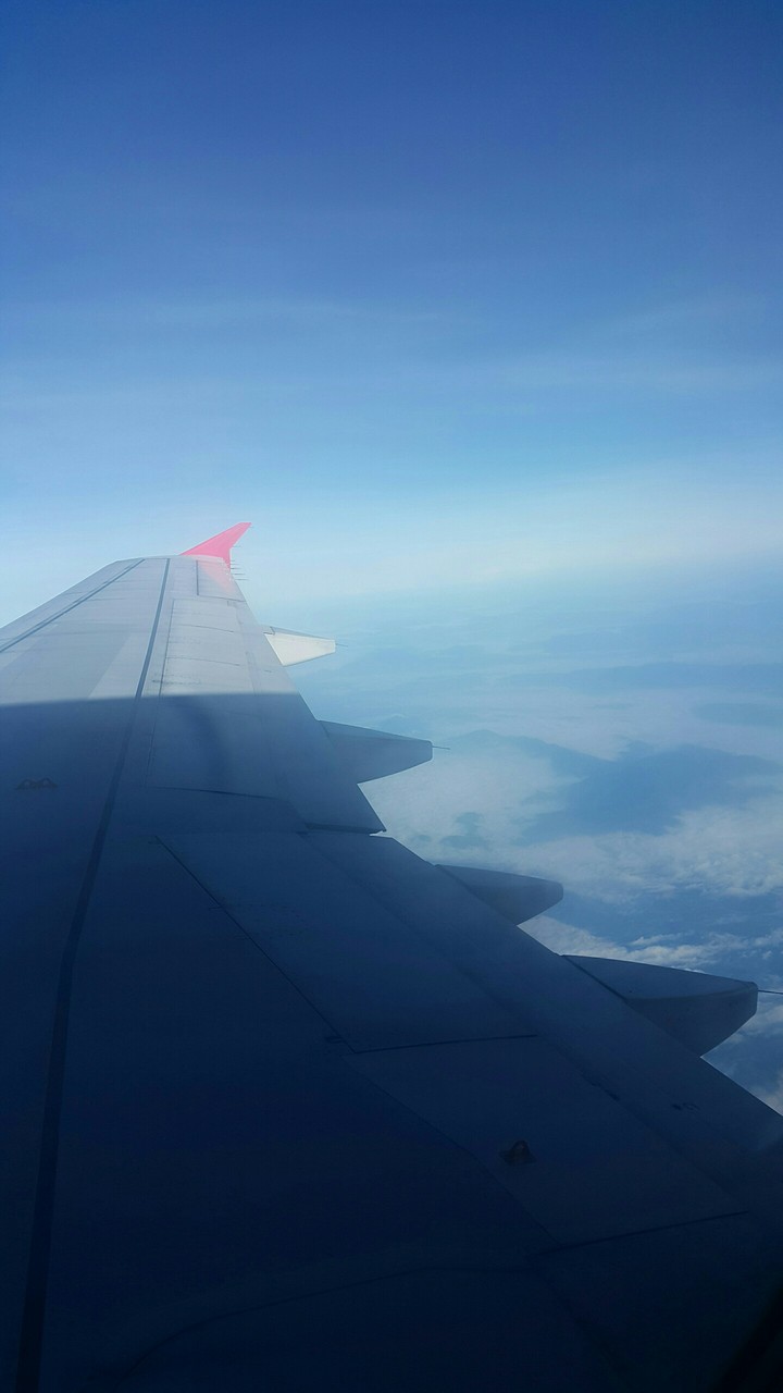 flight