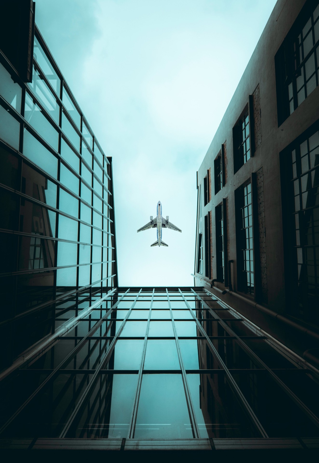 шпалери aircraft, wing