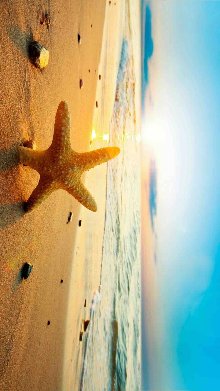 hi