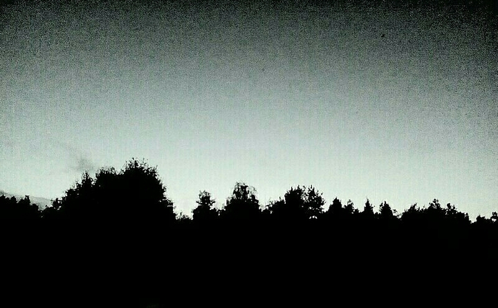 Shape of dark