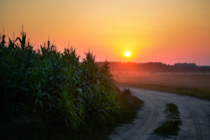 Sunset
