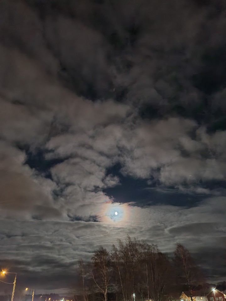 Moon night