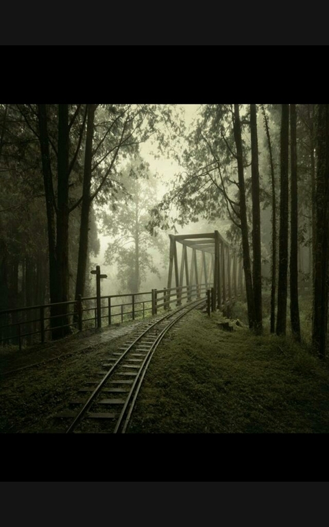 path, morning वॉलपेपर