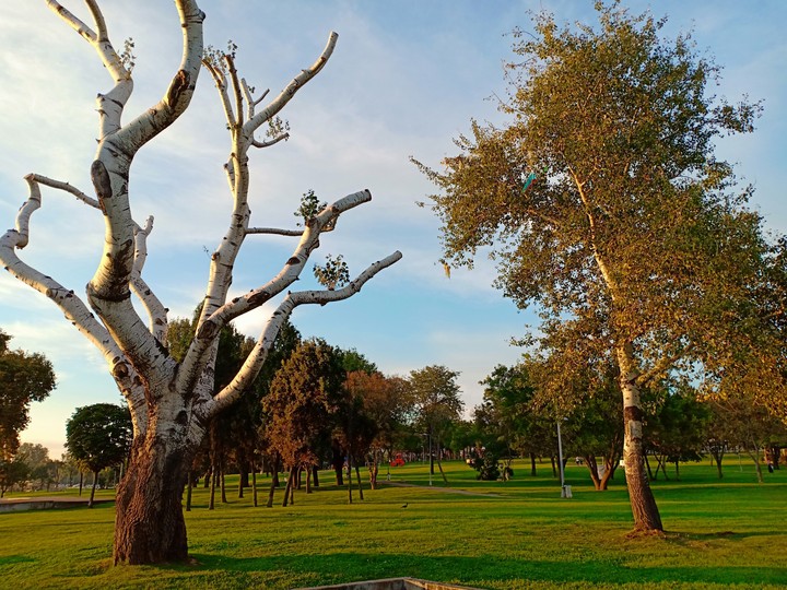 park