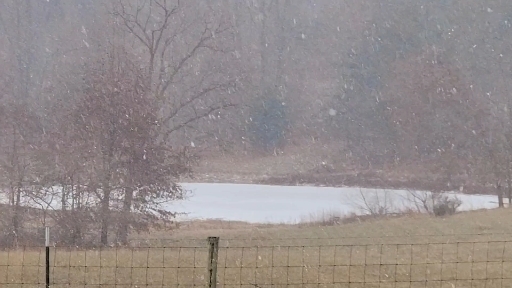 2025 snow
