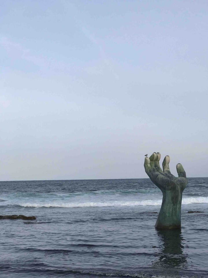 sea&bird