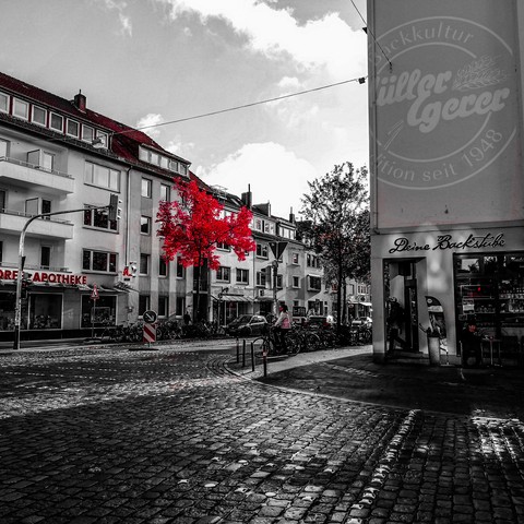 red tree