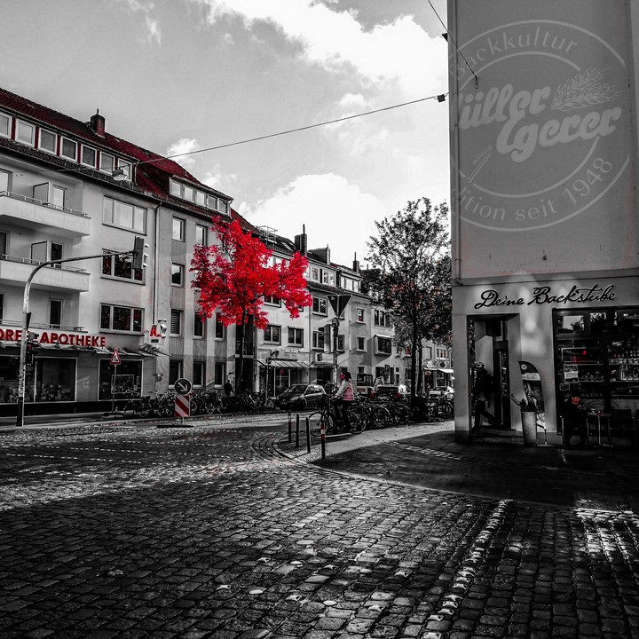 red tree