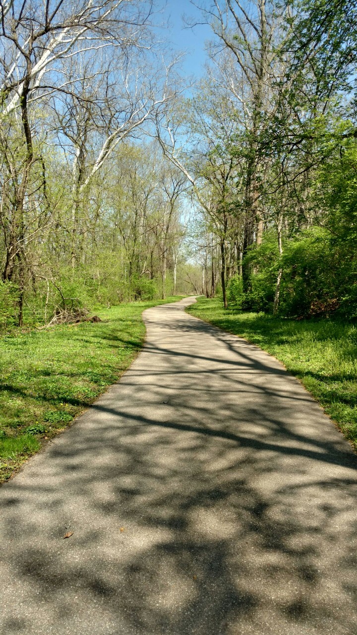 Long and Winding Path