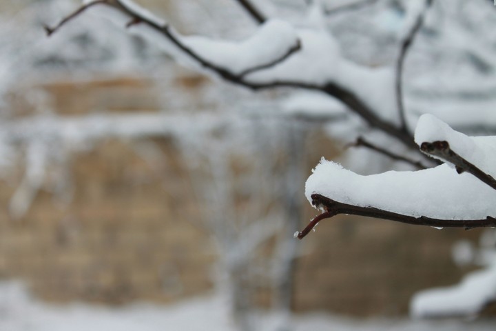 Snow
