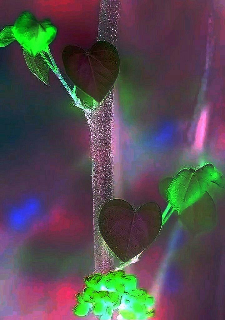 LOVING MOMENTS
