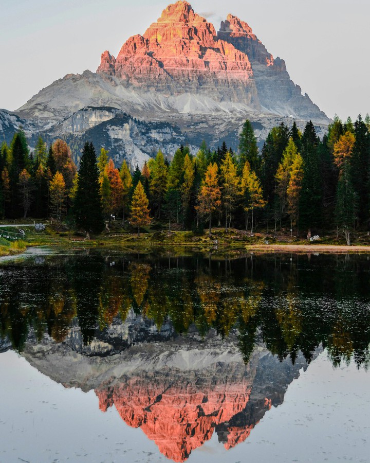 Reflection of nature...