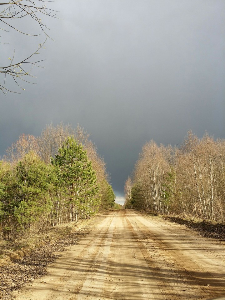 Road to summer.