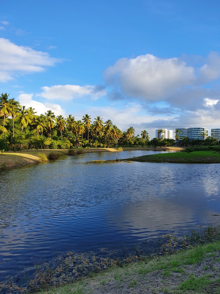 lagoa