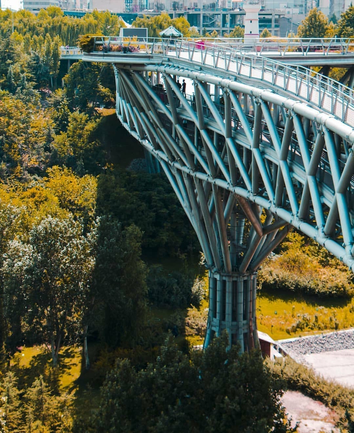 Nature Bridge