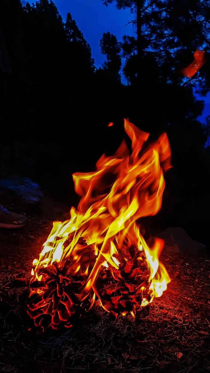 fire