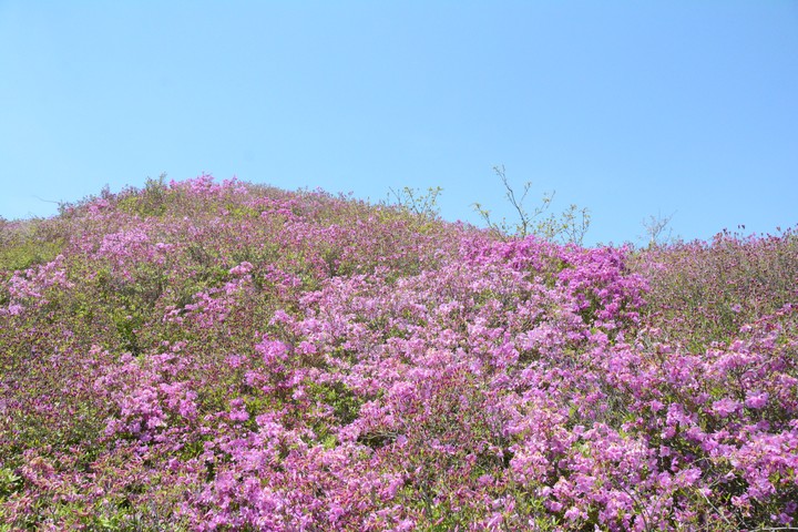 지리산이미지
