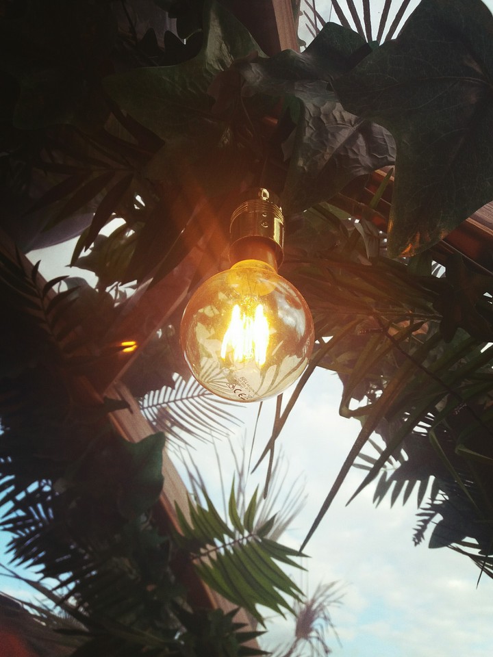 lightbulb