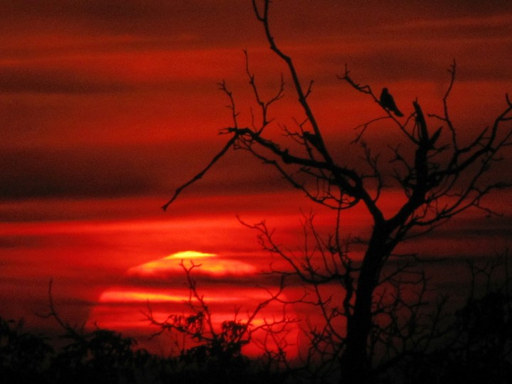 red sun