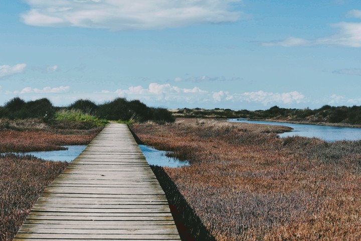 Walkway Bridge