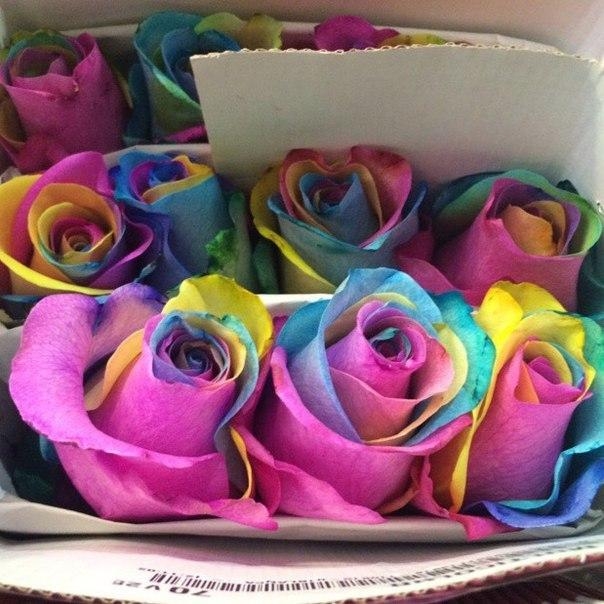 flovers