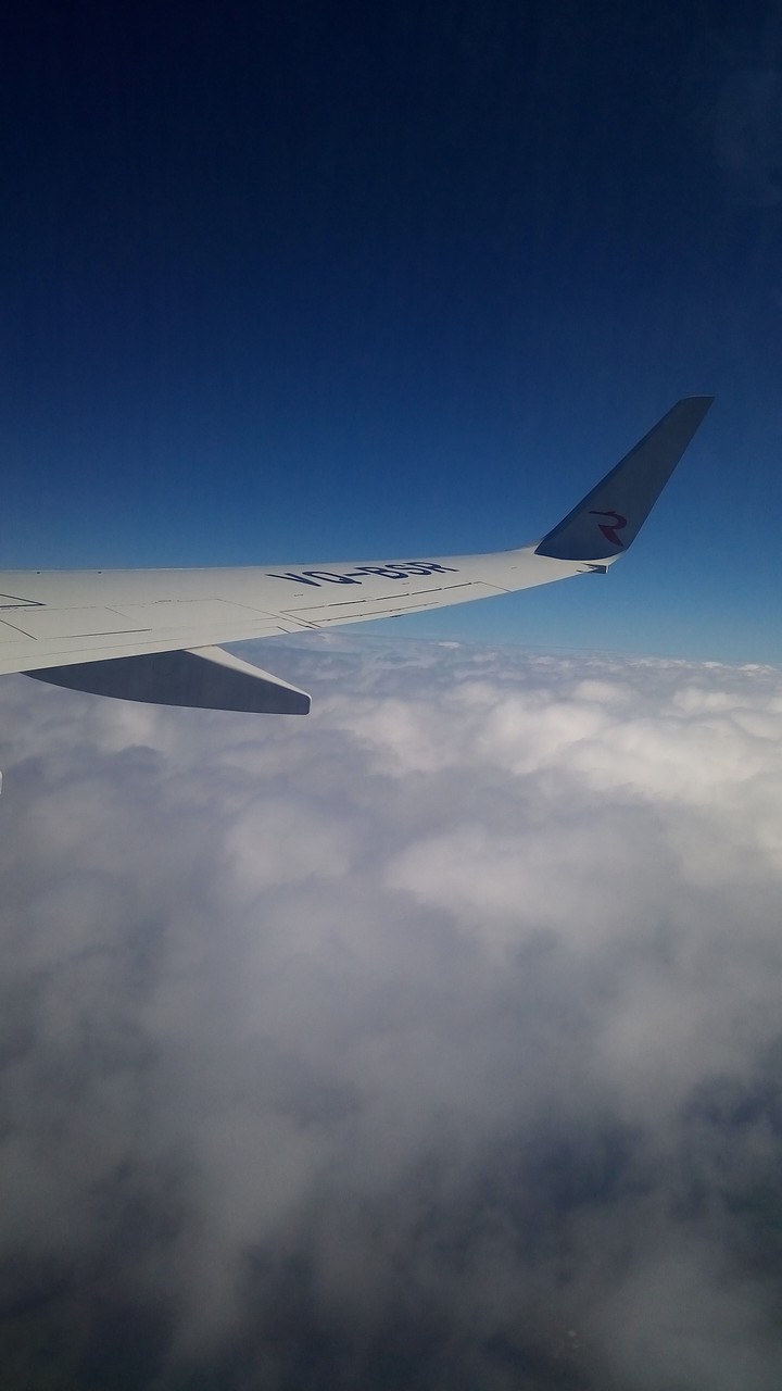 flight