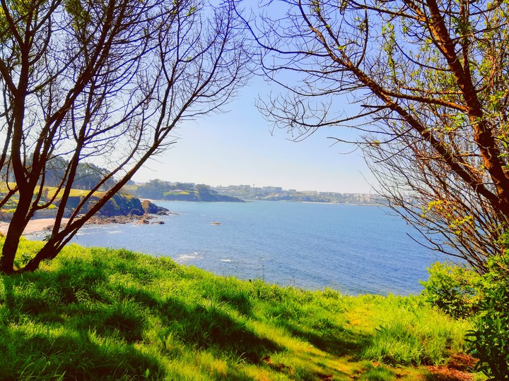 cliff sea