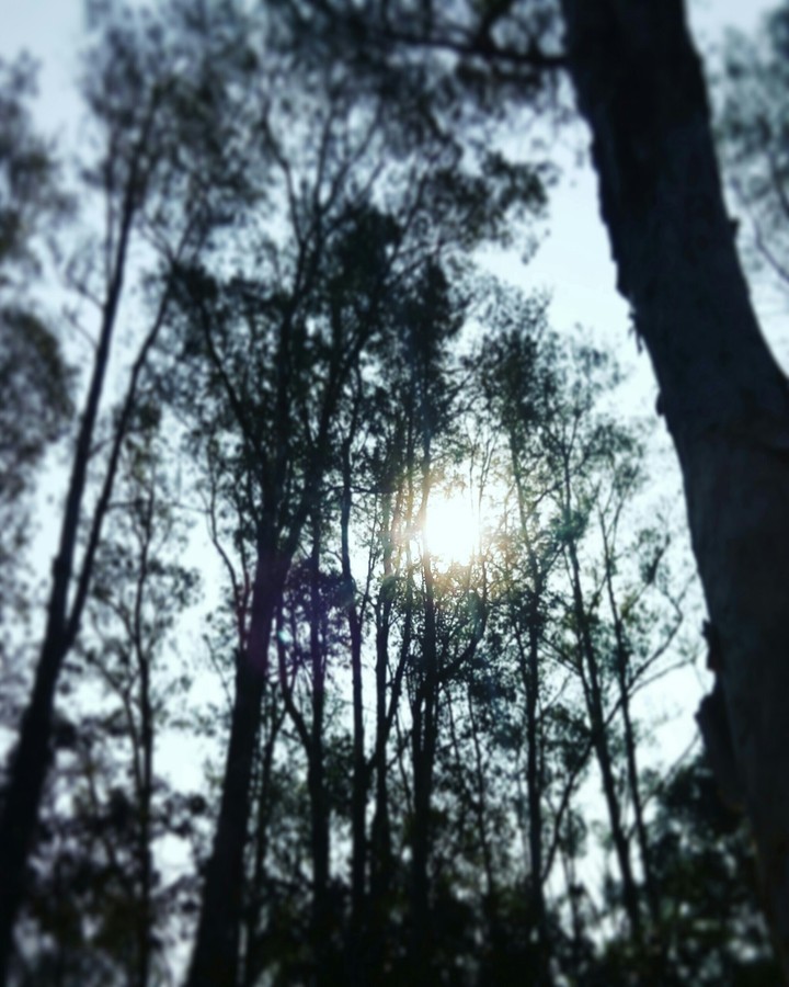 hiking
