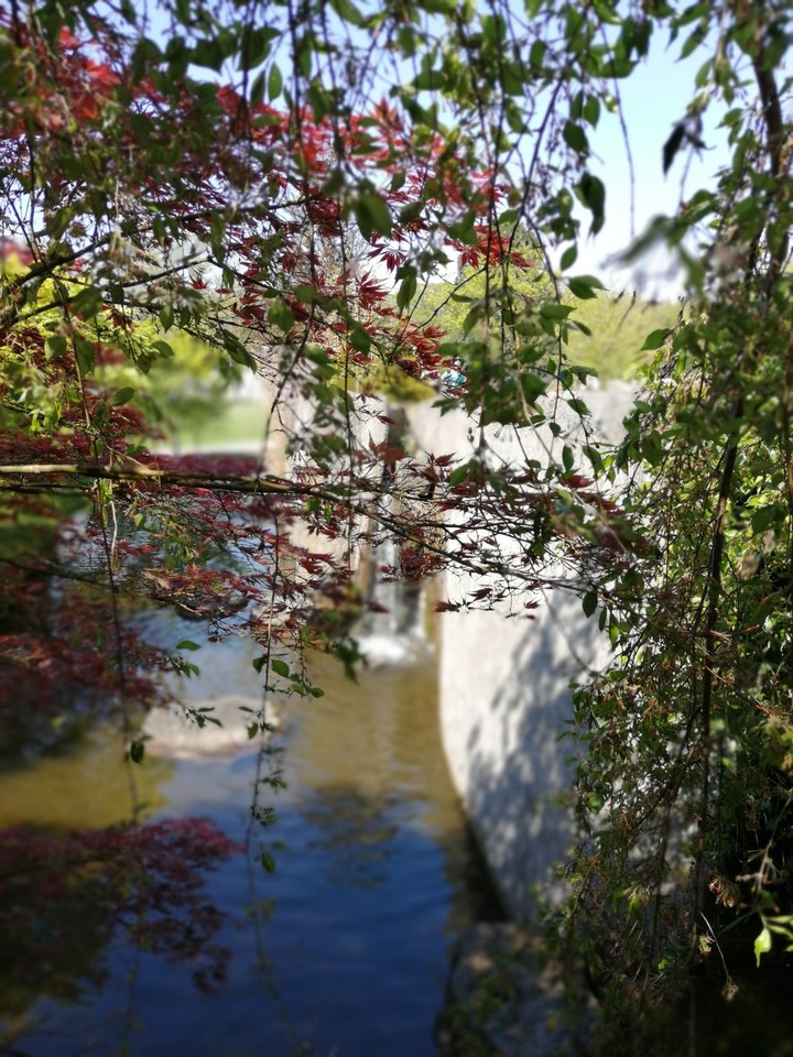 nature