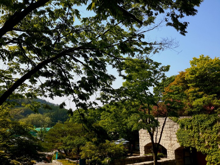 소풍