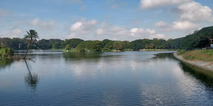 water pond