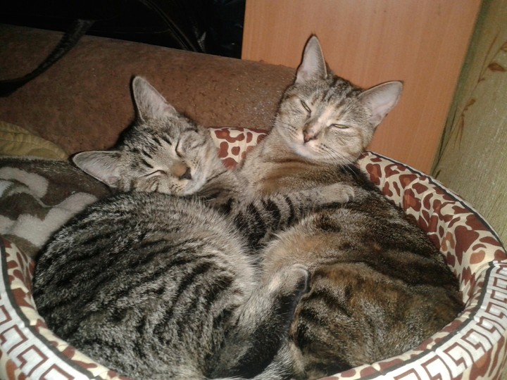 Jade & Bonita