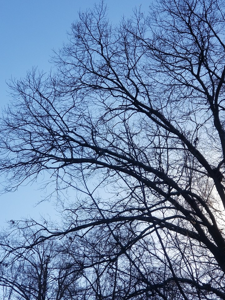 blue sky