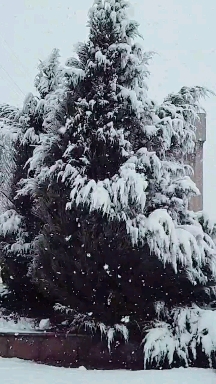 winter