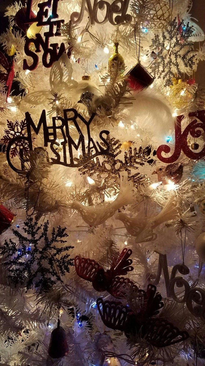 Christmas 2016