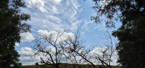 daytime, blue wallpapers